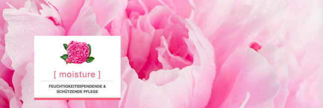 Logona Naturkosmetik – moisture Gesichtspflege mit Damaszener Rose